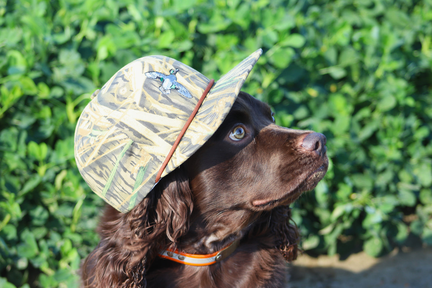 Green Wing Rope Hat